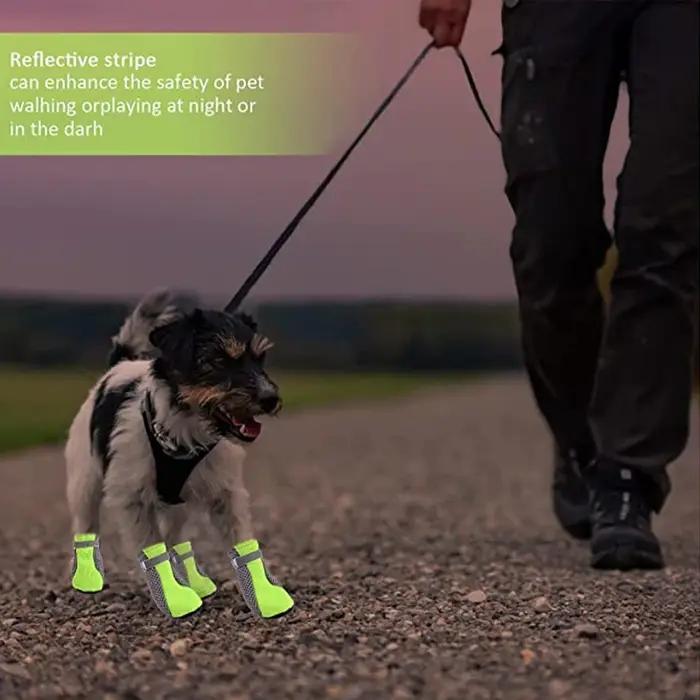 Chaussures pour chiens de compagnie