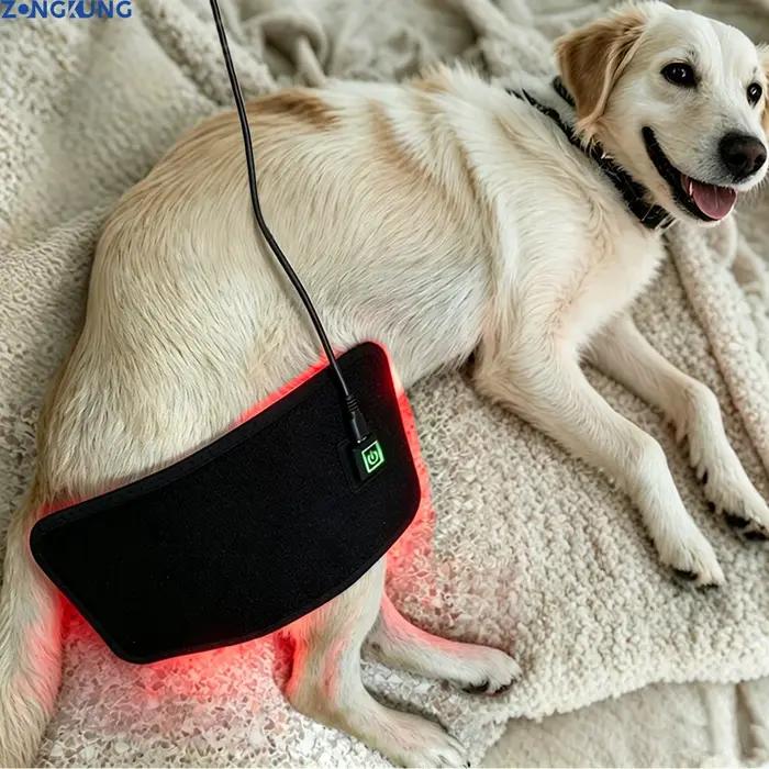 Appareil de physiothérapie à LED pour chiens soulagement douleur rouges infrarouges soins vétérinaires occasions spéciales