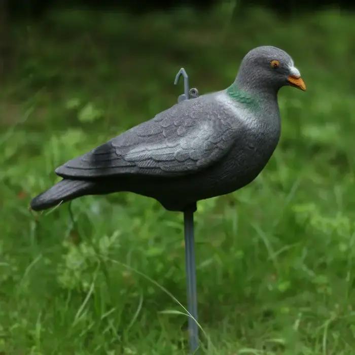 Ensemble d'imitation de Pigeon en plastique entier