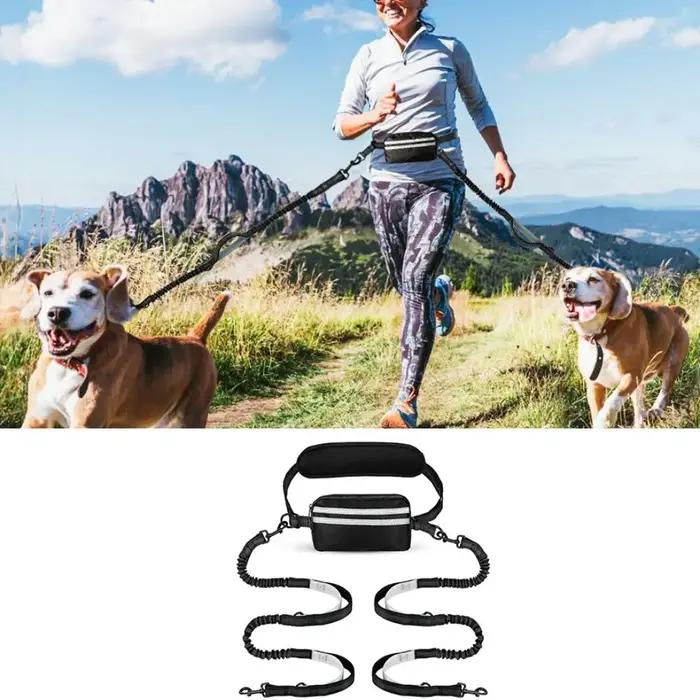 Laisse de course rétractable pour chien avec pochette zippée
