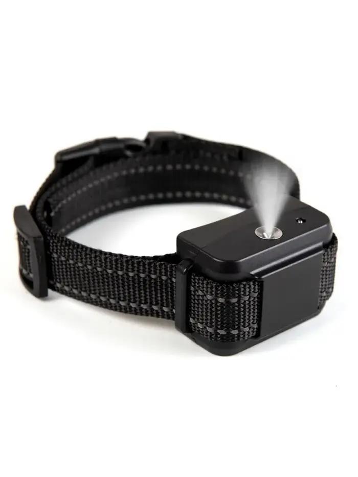 Collier d'entraînement en Spray pour chien