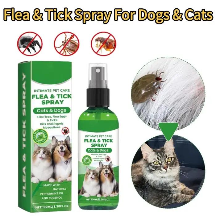 Spray anti-puces et tiques pour chiens et chats 100ml – Éliminateur de puces, soulagement des démang