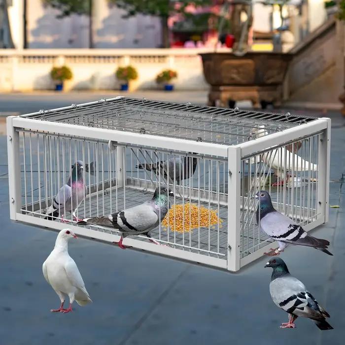 Piège à cage automatique robuste pour pigeons