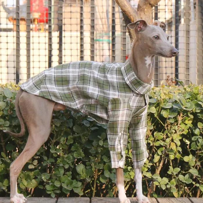 Manteau de printemps à manches longues en coton vert pour chiens mi-chiens, chemise à carreaux café