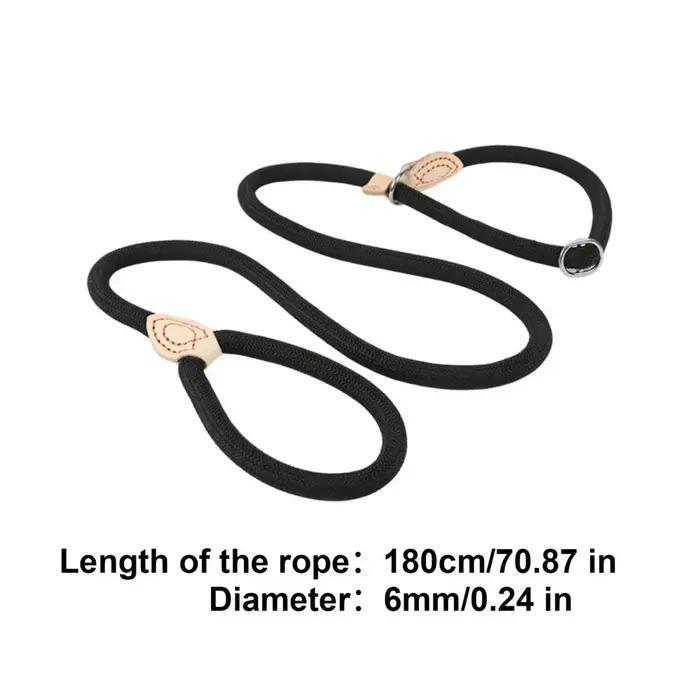 Laisse de dressage pour chien anti-traction robuste avec frein réglable pour chiens de petite