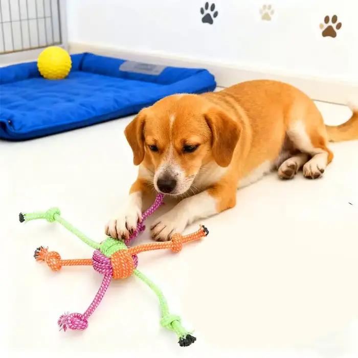 Jouet à nœud interactif Durable et résistant aux morsures pour chiens