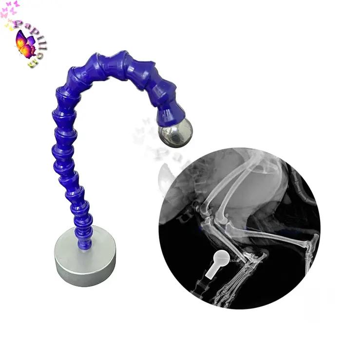 Balle de référence radiographique pour radiographie vétérinaire