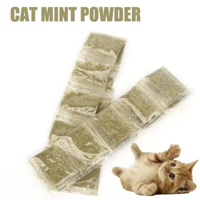 Jouets pour animaux de compagnie en bois non toxique menthe drôle pour chat friandises aide à la digestion et à éliminer les boules de poils occasions spéciales pour chiens
