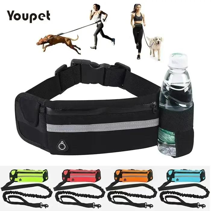 Laisse de taille en Nylon pour chien
