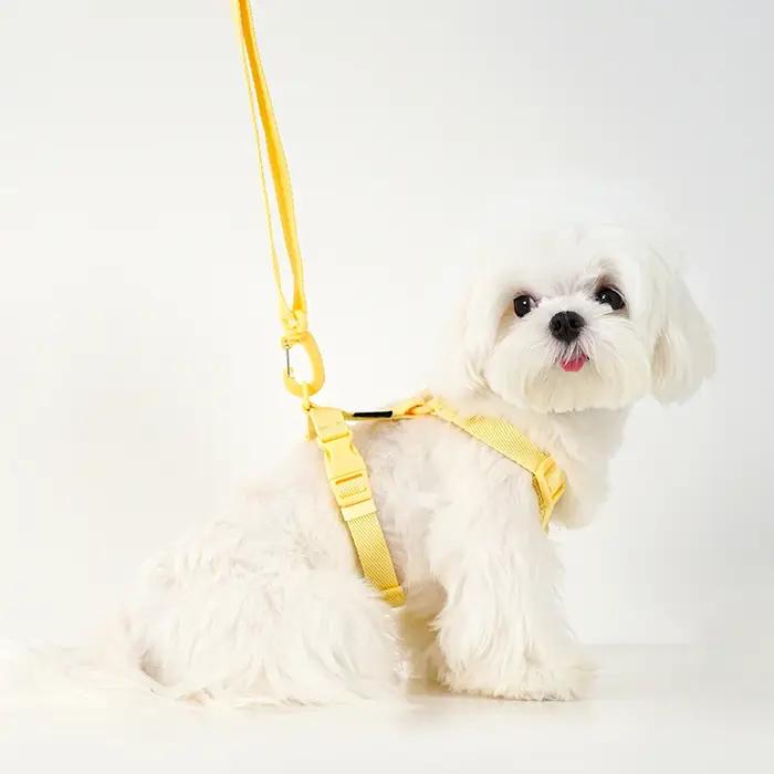 Ensemble de laisse de collier de harnais réglable pour chien