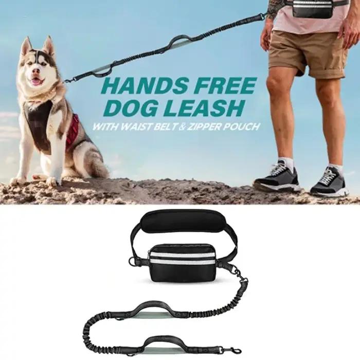 Laisse de course rétractable pour chien avec pochette zippée