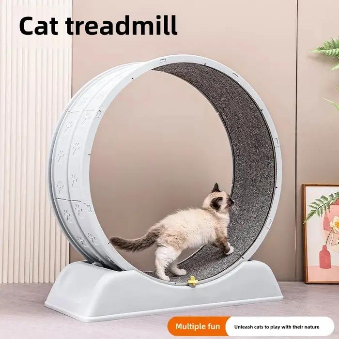 Tapis roulant pour animaux de compagnie