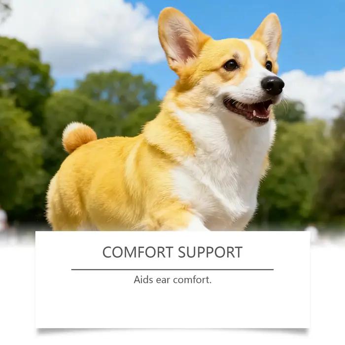 Gouttes d'oreille pour chiens et chats EelJoy non irritantes pour éliminer le cérumen et réduire les pellicules et mauvaises odeurs soins auditifs animaux de compagnie