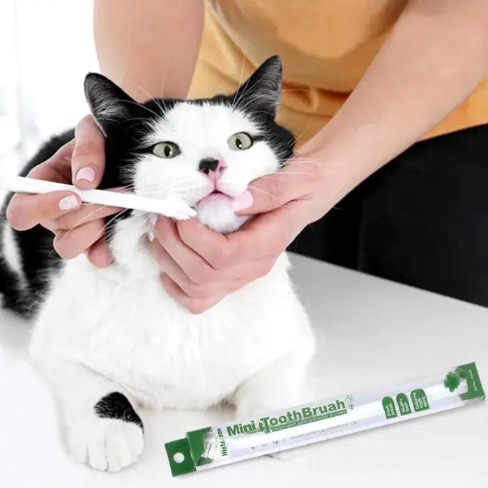 Brosse à dents pour chien recommandée par vétérinaire – Outil de nettoyage