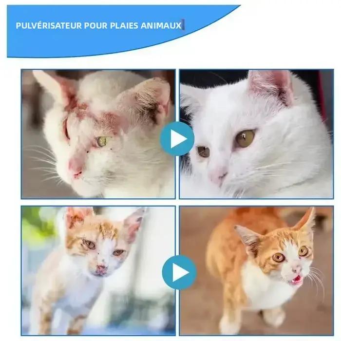 Spray naturel pour plaies d'animaux de compagnie, traitement pour éruptions cutanées, soulagement des démangeaisons, soins infirmiers pour chiens et chats