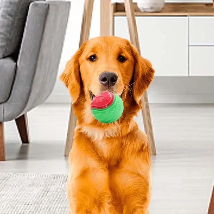 Balle d'entraînement pour chien, 3 pièces, jouets couineurs pour petits chiens, balle pour nettoyer les dents, jouets à mâcher pour chiots, balles d'entraînement en plein air pour animaux de compagnie
