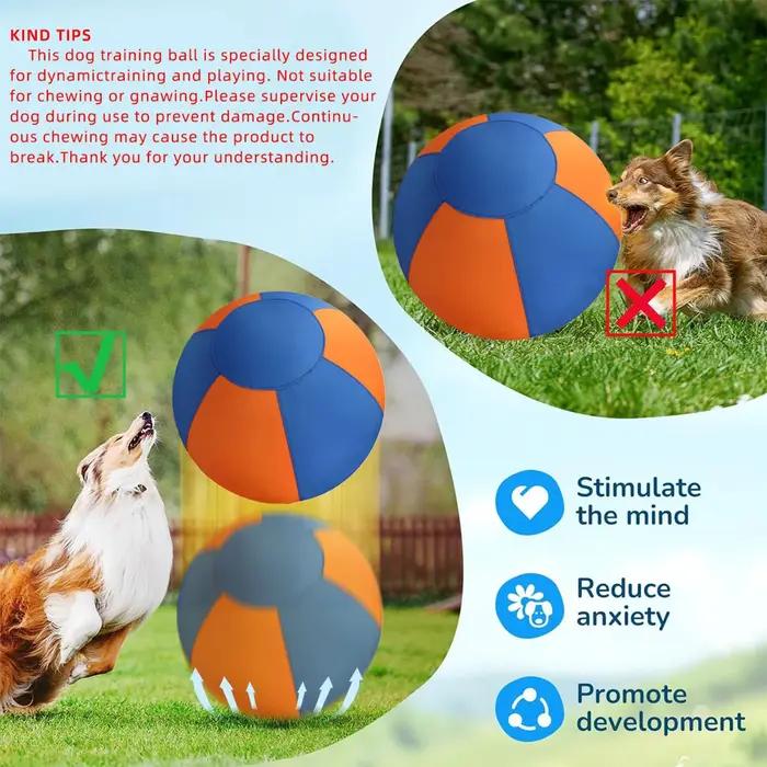 Ballon de dressage pour chiens avec housse de protection et pompe