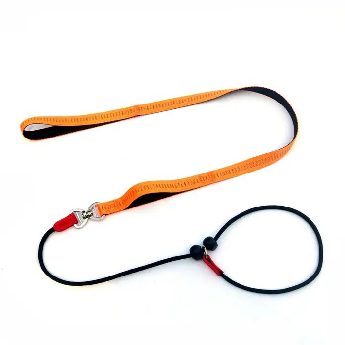 Laisse de dressage pour chien anti-étranglement collier de 150cm laisse de contrôle en chaîne en plastique P pour promenade et compétition multicolore blanc lavande