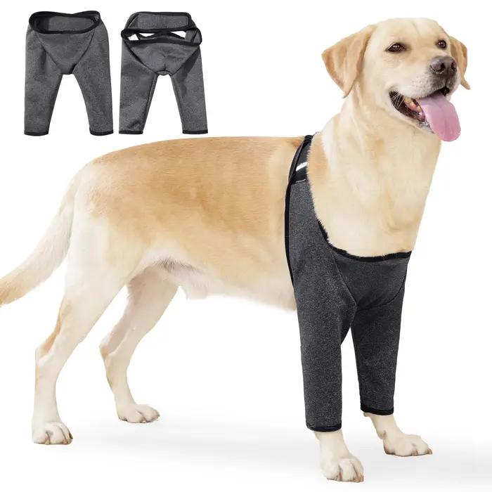 Combinaison de récupération pour chiens après chirurgie ou blessure jambes avant protection coude chiens taille moyenne grande neutre grise convalescence chiens occasions spéciales