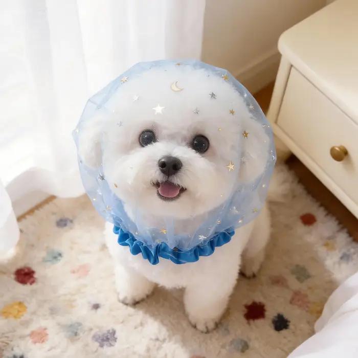 Accessoire de mode en maille pour chiens anti-mastication respirant pour promenade en extérieur