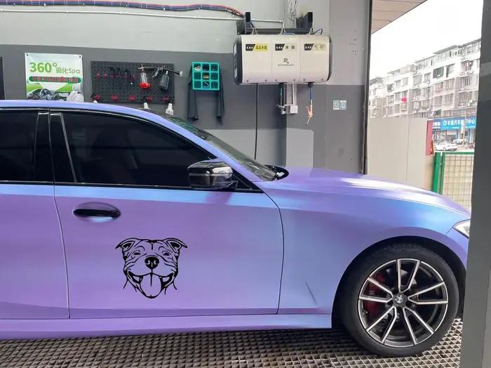 Autocollant de voiture Staffy Staffordshire Bull Terrier drôle pour femmes et hommes, accessoire extérieur en vinyle pour véhicules et motos occasions spéciales