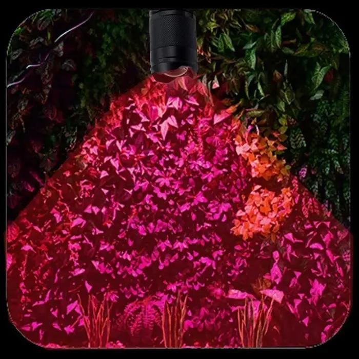 Mini lampe de poche LED Dulflashlights, lumière rouge, bleue, verte, lampe de poche d'urgence, torch