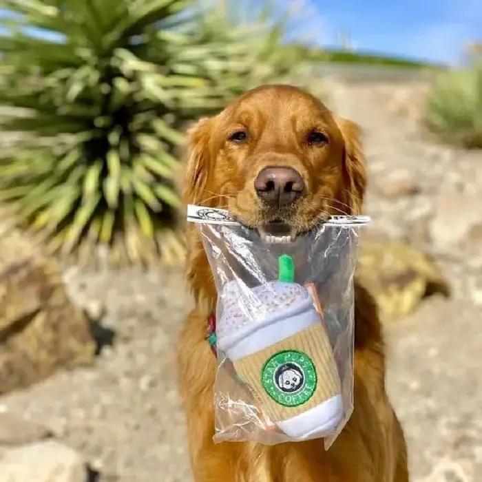 Jouet en peluche pour chien