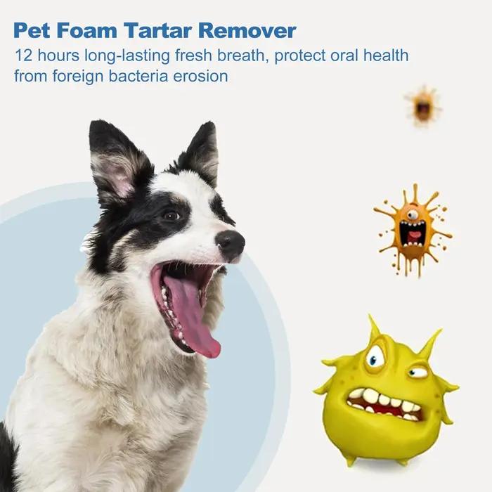 Mousse de soin buccal pour animaux de compagnie
