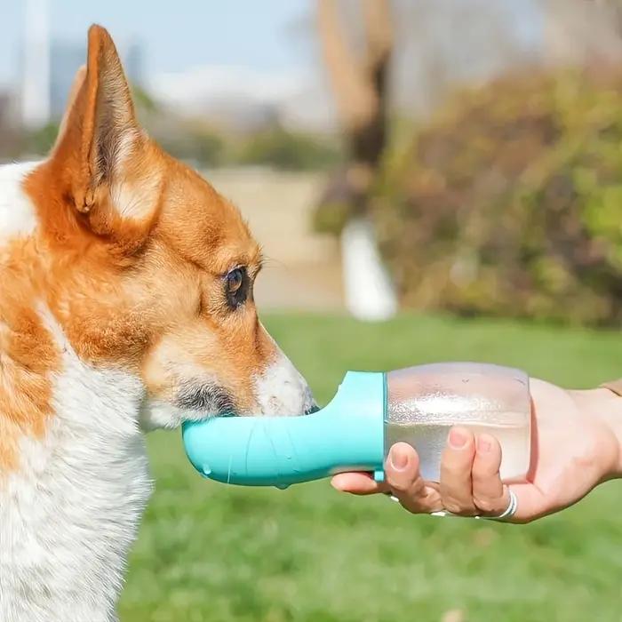 Bouteille d'eau portable pour chiens lors de leurs sorties ; Contenant