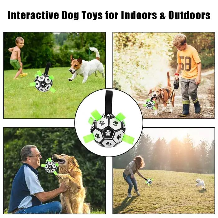 Jouets interactifs de Football pour animaux de compagnie