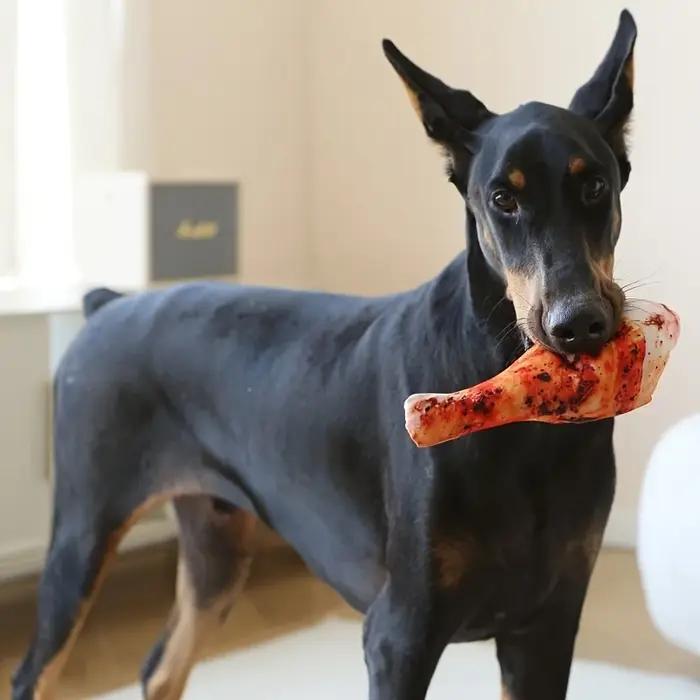 Jouet de vocalisation pour chien en peluche, nourriture à viande artificielle, avec bb appelé meulage des dents, jeu interactif résistant aux morsures