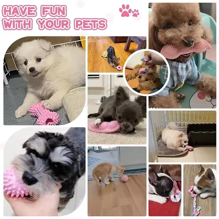 Jouets à mâcher pour chiens en caoutchouc souple rose et autres couleurs pour nettoyer les dents et favoriser le jeu interagissant avec des friandises pour petits et moyens chiens occasions spéciales