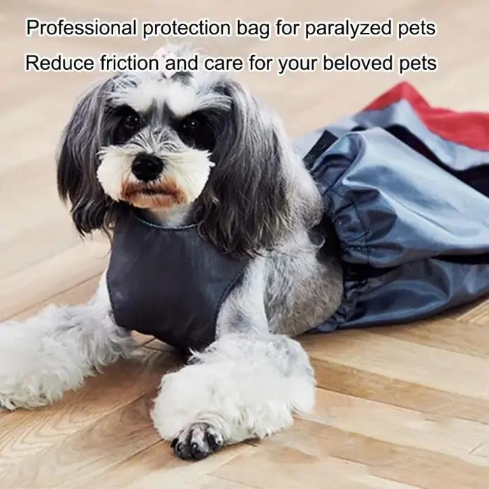 Arrière pour chien, pour paralysie des pattes arrière