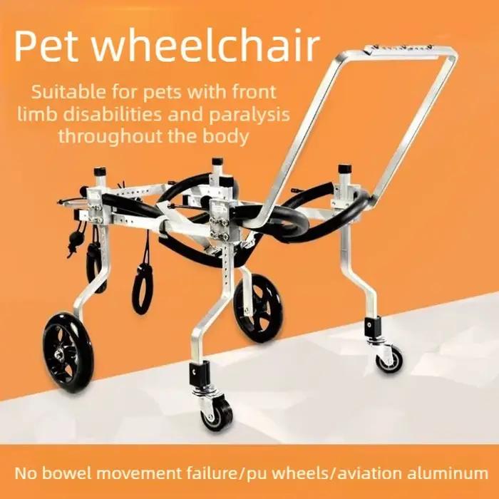 Chaises roulantes pour chiens paralysés