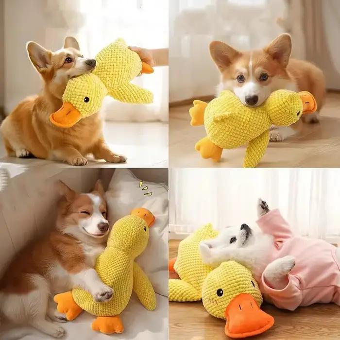 Jouets pour chiens 2026 : Jouets en peluche résistants et durables pour chiens, avec hochet, pour mâcher et nettoyer les dents, adaptés aux petits et grands chiens