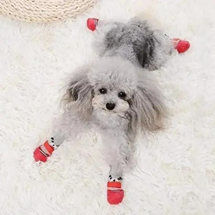 Chaussures de protection pour pattes de chien