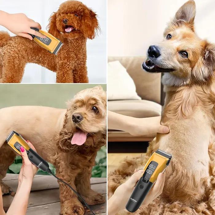 Tondeuse professionnelle pour animaux de compagnie