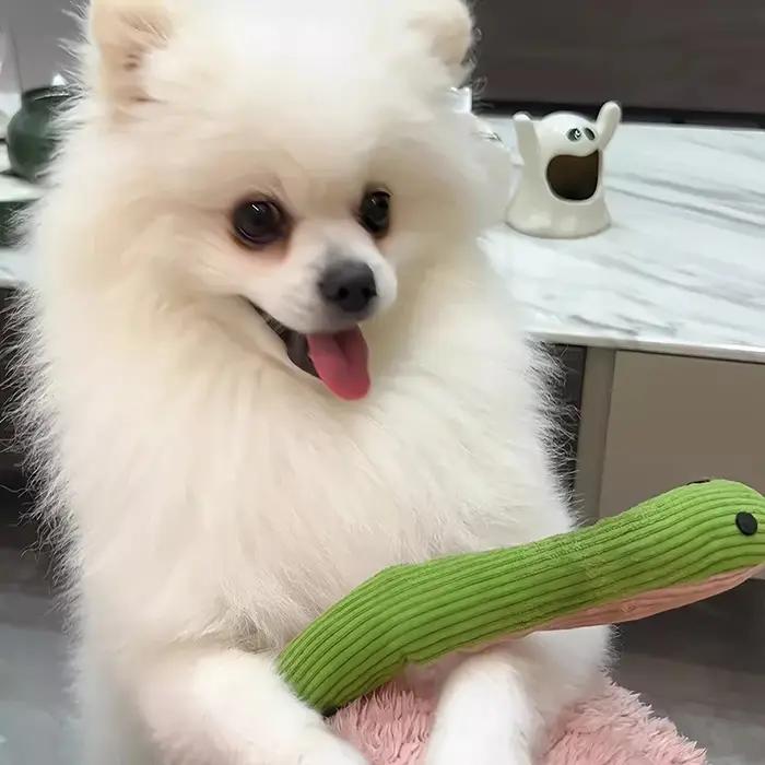 Jouet interactif pour chien en forme de serpent