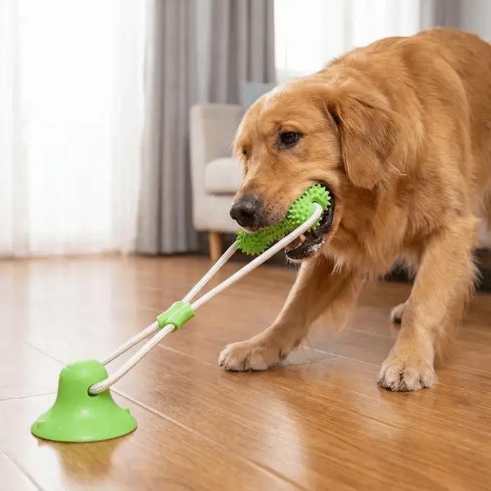 Jouet à mâcher pour chiot à ventouse