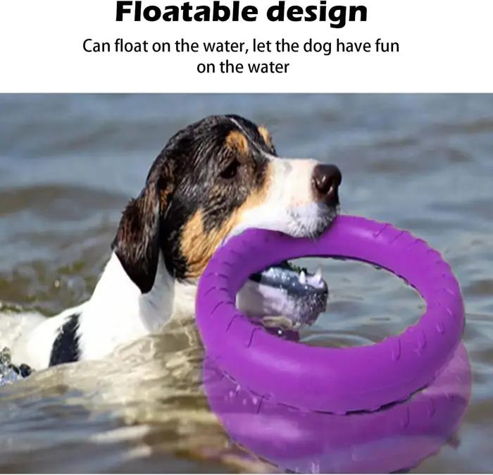 Jouet à mâcher à disque volant Durable pour chien