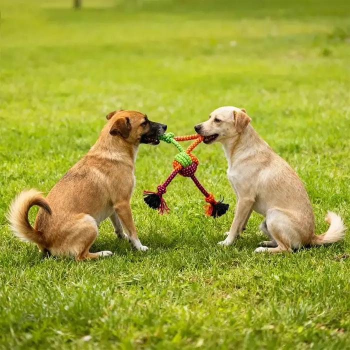 Jouet à nœud interactif Durable et résistant aux morsures pour chiens