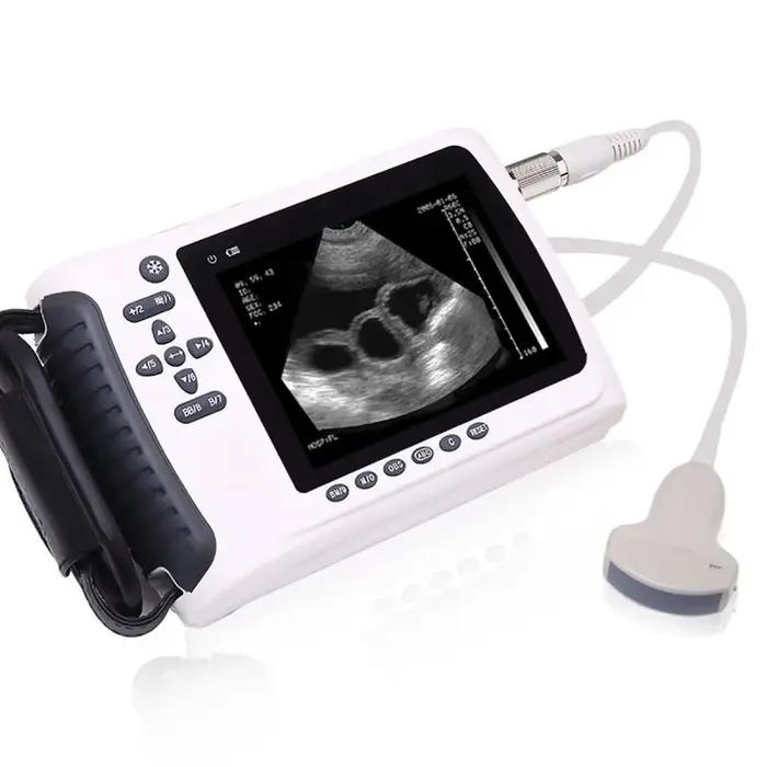 Échographe portable vétérinaire et équipement de diagnostic portable en gros - Machine à ultrasons m