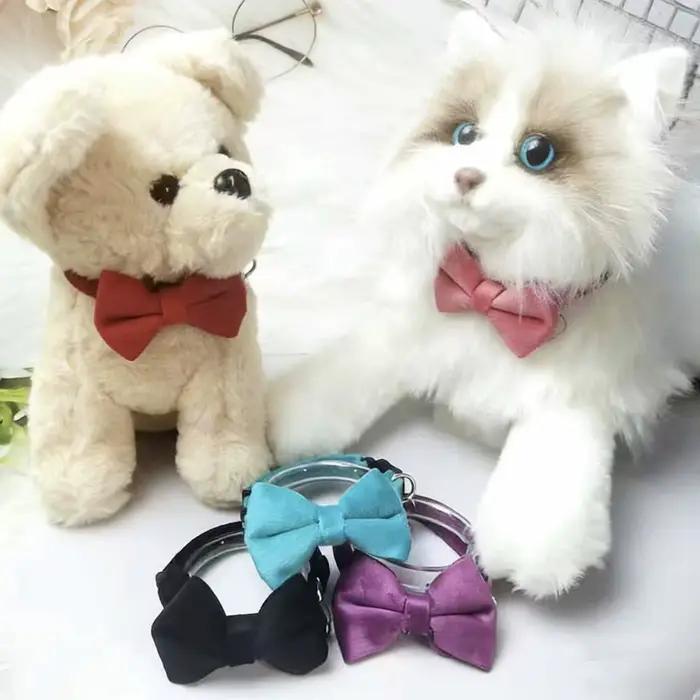 Collier pour animaux de compagnie en velours
