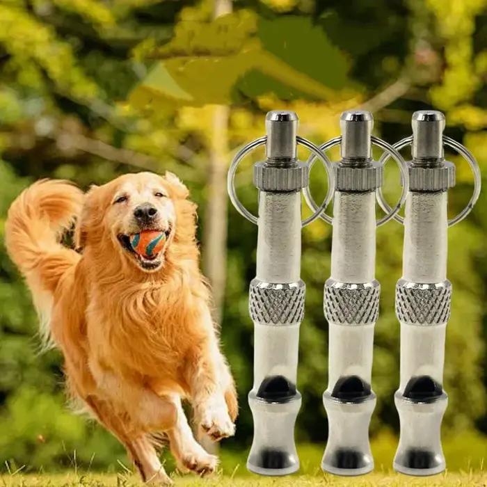 Sifflet d'entraînement pour chien