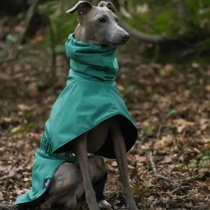 Imperméable imperméable pour chien