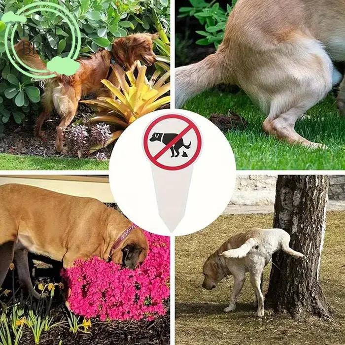 (BBQ4) Panneau en plastique « Interdiction de crottes de chien » – Avertissement de propreté pour jardin