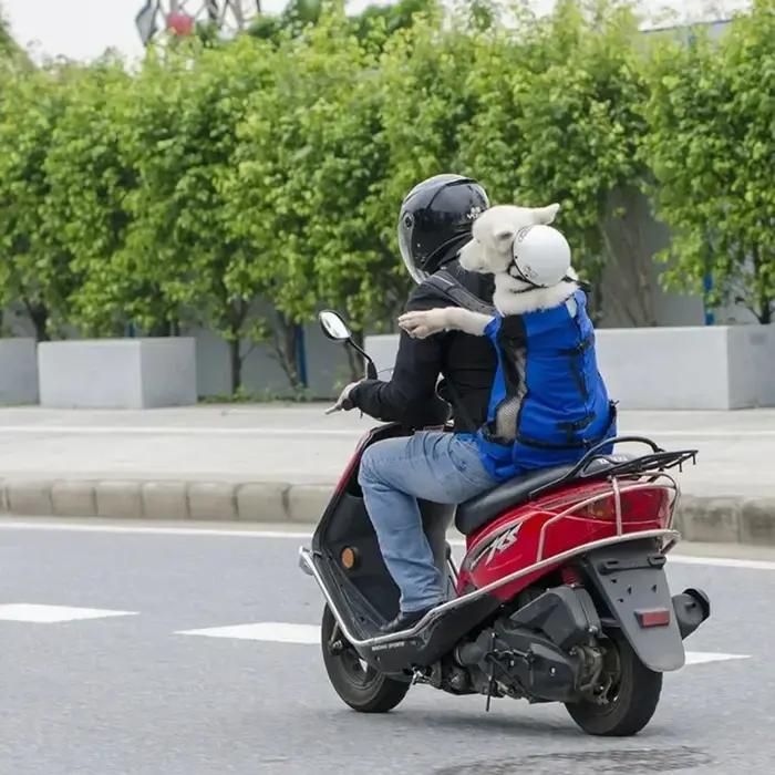 Sac à dos de transport pour chien réglable et durable