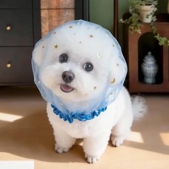 Accessoire de mode en maille pour chiens anti-mastication respirant pour promenade en extérieur
