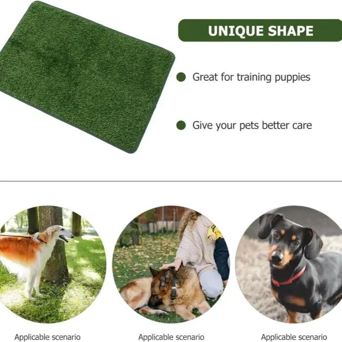 Tapis d'herbe artificielle lavable ultime pour chien