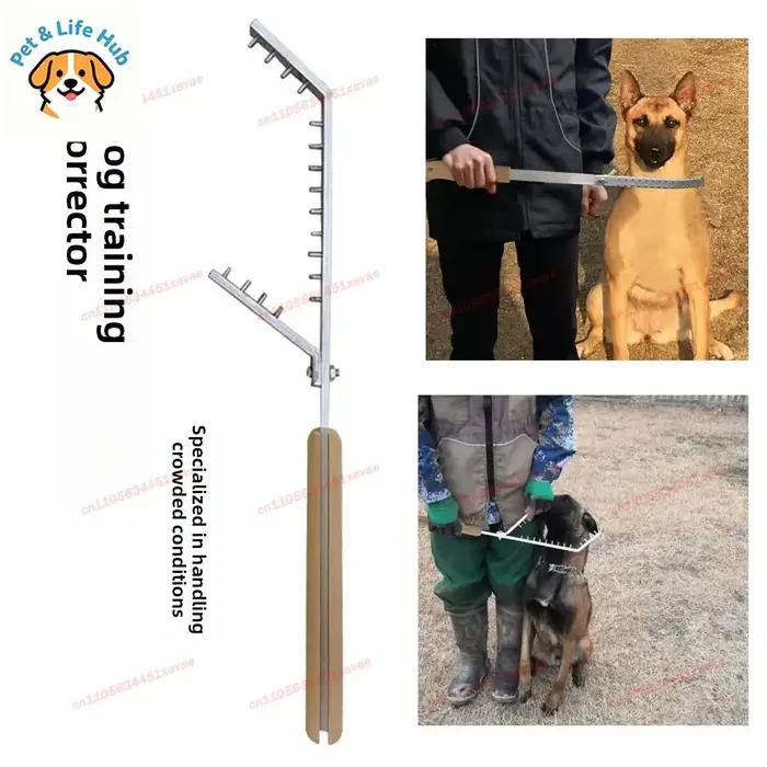 Entraînement pour chiens outil anti-corbeau en acier inoxydable pour promenades en forêt et parcs publics usage et cadeau idéal